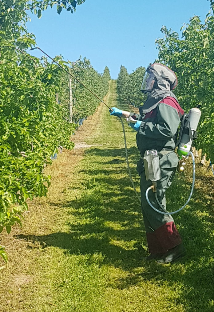 Applikation eines Produktes in einer Apfelplantage im späten Frühjahr